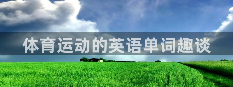 oety欧亿
