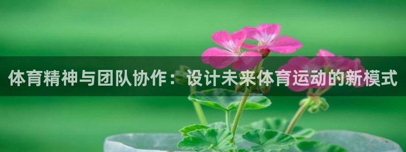 oety欧亿