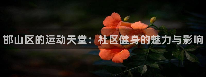 oety欧亿
