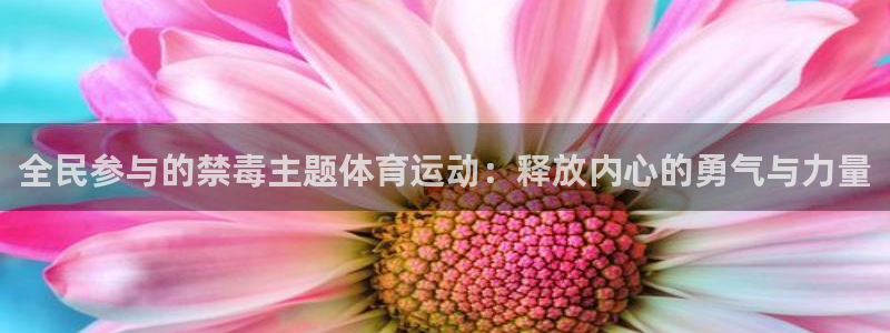 oety欧亿